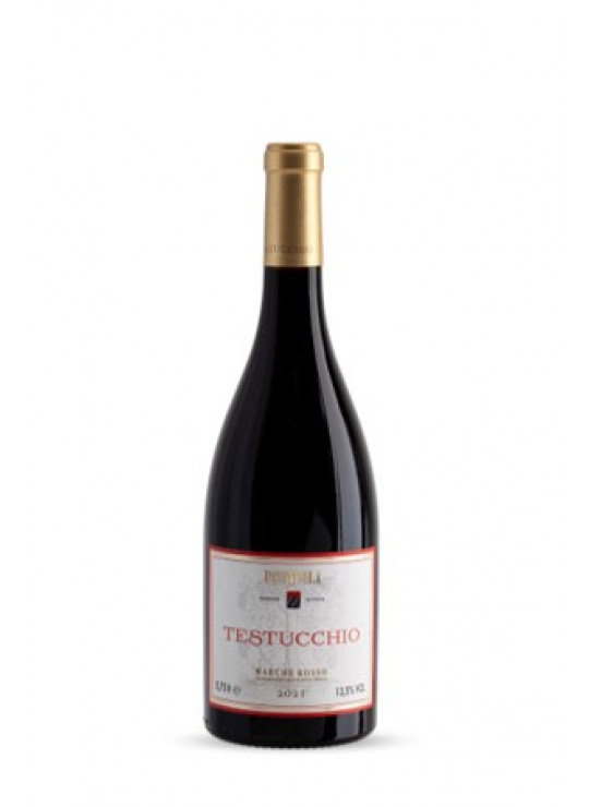 TESTUCCHIO